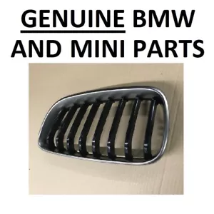 Griglia anteriore ORIGINALE BMW F22 F23, serie 2, M 51138080313 grigio cerio SINISTRA 31C - Foto 1 di 5