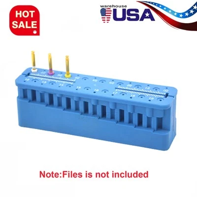 Soporte de archivo dental autoclaveble de plástico con regla de medición, bloque de medición Endo Foto 1 de 4