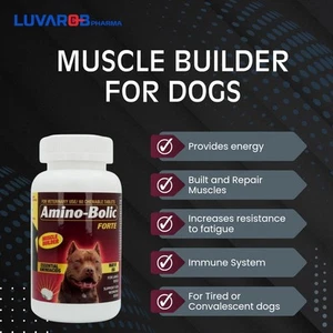 SUPPORT FOR WORKING DOGS AMINO-BOLIC 60 CHEWS FOR ENERGY, STRENGHT, POTENCY DOGS - Picture 1 of 4