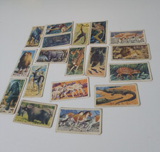 Brooke Bond Asian Wild Life Tea Card X19