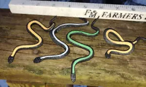 Realistic Rainforest Rubber Snake Toys - lot of 4 - Stretchy, squishy 4+ in long - Picture 1 of 4