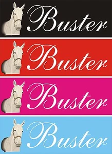 Placa/placa/letrero personalizada para puerta estable caballo 12"" x 4"" (s6) CUMPLEAÑOS - Imagen 1 de 7