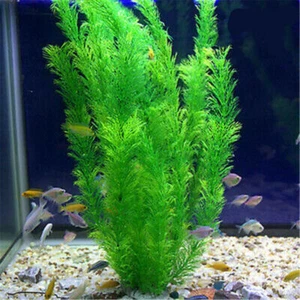 30cm Fischtank Kunststoff Künstliche Pflanzen Aquarium Sichere Verzierung Dekors - Bild 1 von 13