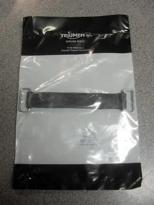 GENUINA CORREA DE BATERÍA TRIUMPH BONNEVILLE VELOCIDAD TRIPLE SCRAMBLER SPRINT THRUXTON Foto 1 de 3