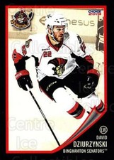 2013-14 Binghamton Senators #8 David Dziurzynski
