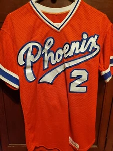Vintage Rare Phoenix Jersey Mr. Goodman's & Sons size 40 - Picture 1 of 4