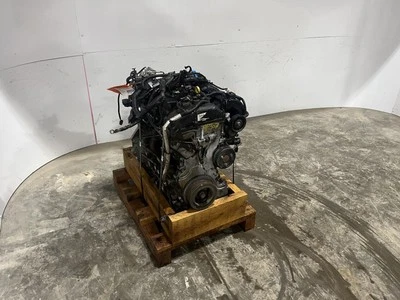 2012-2014 Ford Focus 2.0L Gasoline Engine w/o turbo W/147K Miles - Image 1 of 4