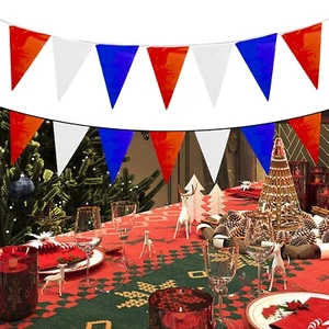 18M Red Blue White Triangle Flags Bunting for QUEENS for JUBILEE Party - Picture 1 of 22