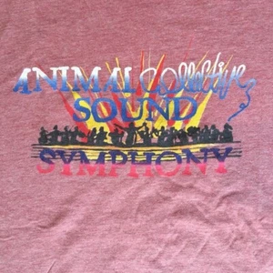 Vintage Animal Collective Sound Symphony T Shirt 2009 Merriweather Post Pavilion - Picture 1 of 4