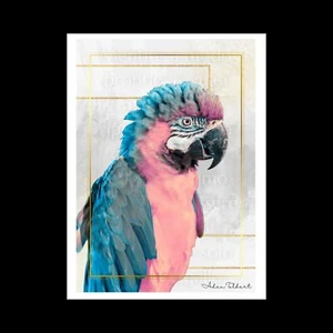 Golden Hibiscus Ara Parrot Poster - Picture 1 of 1