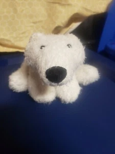 Webkinz Polar Bear no code read description - Picture 1 of 5