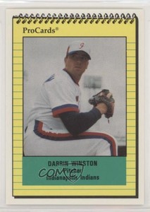 1991 ProCards Minor League Darrin Winston #463