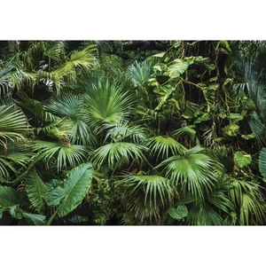 Fotomural-TEJIDO-PLANTAS TROPICALES VERDES-(C14082)-Papel pintado-a medida-bosque naturaleza XL - Imagen 1 de 7