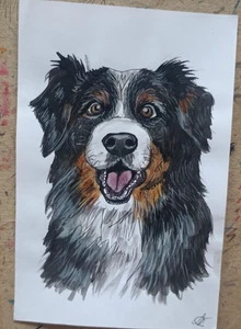 Bernese Mountain dog Original watercolor painting lovers art 8x5.5'' Portrait - Picture 1 of 3