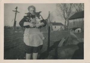 Schnappschuss Vintage Foto reife Frau umarmt Hunde Chihuahua Haustier Tier Ausweis Bäcker - Bild 1 von 6