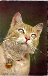 Cat Portrait, cute, vintage postcard, bell, Leominster, MA - Picture 1 of 2
