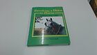 Breaking A Horse To Harness: Step-By-Step Guide By Walrond, Sallie 0851314759