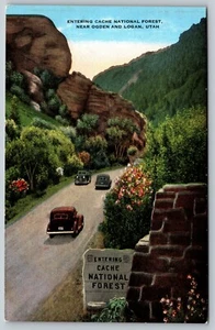 Entering Cache National Forest Ogden Logan UTAH old cars vtg linen Postcard A62 - Picture 1 of 2