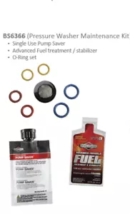 Pompa Protezione Idropulitrice Briggs & Stratton Risparmio Trattamento Carburante O Rings - Foto 1 di 3