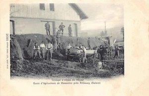 Suisse - HAUTERIVE (FR) Ecole d'agriculture - Groupe d'élèves au travail - Ed. B - Picture 1 of 2