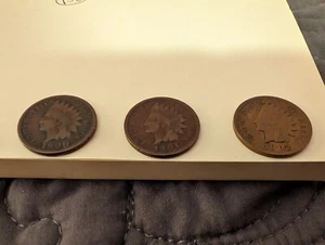 1900, 1901 und 1902 Indian Head Pennies One Cent - Bild 1 von 7