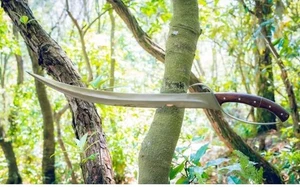 Hand Forged High Carbon Steel Viking Sword Sharp Battle Ready Medieval Sword - Picture 1 of 4