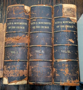 Fox's Book of Martyrs, 3 Vol. Set, Leather Bound, Illustrated, Antiquarian, 1875 - Foto 1 di 13