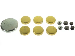 Expansion Plug Kit For 1975-1978 Ford F150 1976 1977 TJ641SF Stock -- Brass - Picture 1 of 1