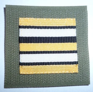 FRENCH ARMY /LEGION  RANK GRADE LIEUTENANT COLONEL HOOK AND LOOP BACKED. - Picture 1 of 1