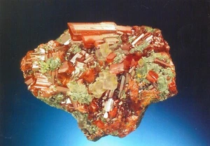 POSTCARD NV Realgar & Fluorite Getchell Mine Humboldt Cnty Rocks & Minerals MINT - Picture 1 of 1