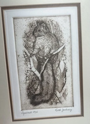 Grabado de ardilla Ruth Zachary edición limitada firmado Foto 1 de 4