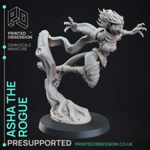 Asha the Rogue | Tabaxi Caravan | Fantasy Miniature | Printed Obsession - Picture 1 of 6