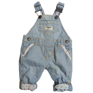 OshKosh B’Gosh Baby 3M Blue Striped Floral Denim Bib Overalls Vestbak Straps - Picture 1 of 11
