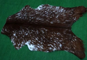 Luxury Goat hide Rug Hair on Area Rug Size 36"x24" Animal Leather Goat Skin G143 - Picture 1 of 3