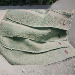 4- New Ralph Lauren Washcloths Sea Glass With Purple Logo 13"X13" - Picture 1 of 6