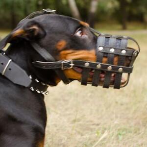 Doberman Muzzle for Dogs with Long Snout Real Leather Basket Light & Strong