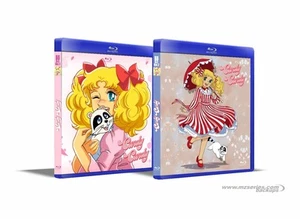 CANDY CANDY ESPAÑOL LATINO 12 BluRay 115 EPISODIOS COMPLETA 4.3 IA - Imagen 1 de 19