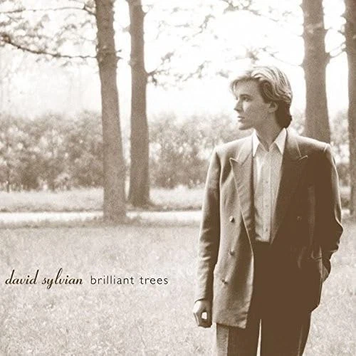 David Sylvian Brilliant Trees (CD) - Image 1 of 1