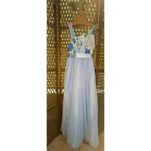 Poppies and Roses Blue Floral Maxi Dress sz 8 - Picture 1 of 5