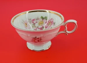 Bavaria Schumann Arzberg Germany Wildrose - Teetasse - Bild 1 von 6