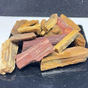 Madera petrificada de Washington de agua verde rara de 1 lb lapidaria áspera #1 - Imagen 1 de 11