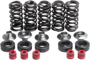 Kibblewhite Valve Spring Kit 8080100 - Picture 1 of 1