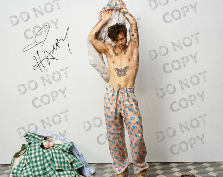 HARRY STYLES SIGNED AUTOGRAPHED REPRINT 8X10-13X19 POSTER SHIRTLESS PHOTO GIFT - Image 1 of 1