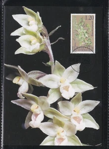 LIECHTENSTEIN 2004 FIRST DAY COVER ON MAXI CARD ORCHIDS FLOWERS - Picture 1 of 2
