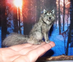 Grey Wolf realistic MADE TO ORDER miniature dollhouse OOAK 1:12 handmade IGMA - Picture 1 of 7