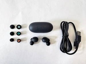 SONY WF-LS900N/B Link Buds S Wireless Noise Canceling Earbuds - Black - Picture 1 of 10