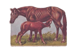 Whitman Educational Graphic Toy Standard Bred Horse VTG Die Cut Cardboard Litho - Picture 1 of 2