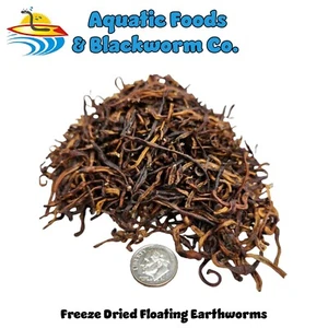 10-lbs Earthworms, Freeze Dried for Large Fish, Pond Fish, Turtles, Reptiles - Picture 1 of 2