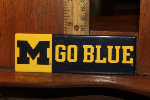 Michigan Wolverines Magnet Go Blue Cover