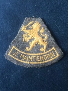 POST WAR DUTCH ARMY EMBROIDERED SLEEVE BADGE- LION OF NASSAU - Picture 1 of 2